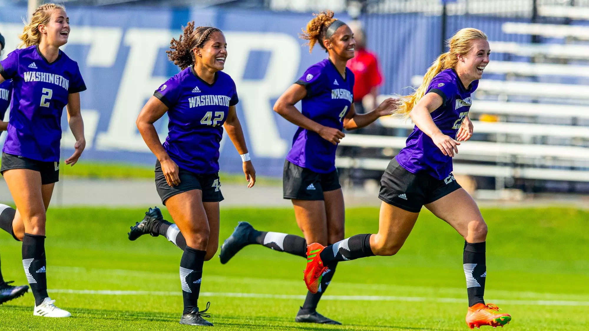 入了本场的 入了本场的