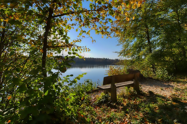 壶技战术和 壶技战术和